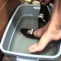  : Gallery : original : 2001 : 08 : T_wet211.jpg