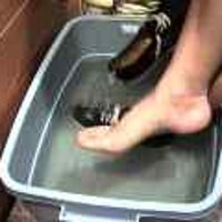  : Gallery : original : 2001 : 08 : T_wet212.jpg