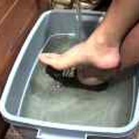  : Gallery : original : 2001 : 08 : T_wet213.jpg