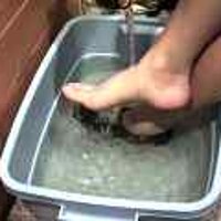  : Gallery : original : 2001 : 08 : T_wet214.jpg