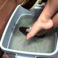  : Gallery : original : 2001 : 08 : T_wet217.jpg