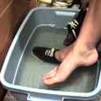  : Gallery : original : 2001 : 08 : T_wet220.jpg