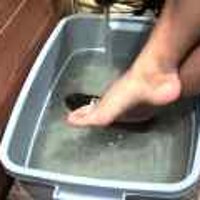  : Gallery : original : 2001 : 08 : T_wet222.jpg