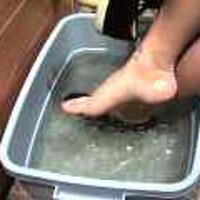 : Gallery : original : 2001 : 08 : T_wet224.jpg