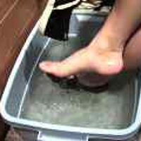  : Gallery : original : 2001 : 08 : T_wet225.jpg