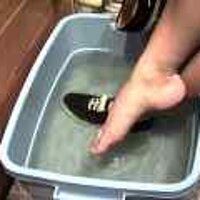  : Gallery : original : 2001 : 08 : T_wet227.jpg
