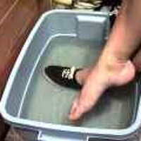  : Gallery : original : 2001 : 08 : T_wet228.jpg
