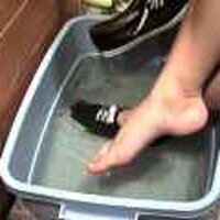  : Gallery : original : 2001 : 08 : T_wet230.jpg
