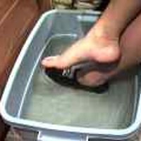  : Gallery : original : 2001 : 08 : T_wet231.jpg