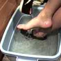  : Gallery : original : 2001 : 08 : T_wet234.jpg