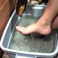 : Gallery : original : 2001 : 08 : T_wet240.jpg