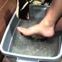  : Gallery : original : 2001 : 08 : T_wet241.jpg