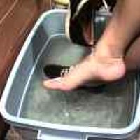  : Gallery : original : 2001 : 08 : T_wet242.jpg