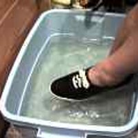  : Gallery : original : 2001 : 08 : T_wet245.jpg