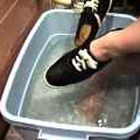  : Gallery : original : 2001 : 08 : T_wet247.jpg