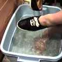  : Gallery : original : 2001 : 08 : T_wet251.jpg