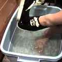  : Gallery : original : 2001 : 08 : T_wet253.jpg