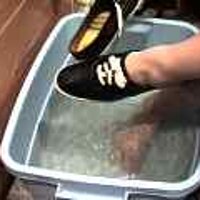  : Gallery : original : 2001 : 08 : T_wet254.jpg