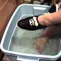 : Gallery : original : 2001 : 08 : T_wet255.jpg