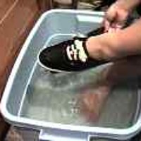  : Gallery : original : 2001 : 08 : T_wet256.jpg