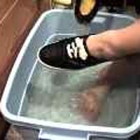  : Gallery : original : 2001 : 08 : T_wet257.jpg
