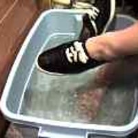  : Gallery : original : 2001 : 08 : T_wet261.jpg