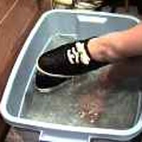  : Gallery : original : 2001 : 08 : T_wet262.jpg