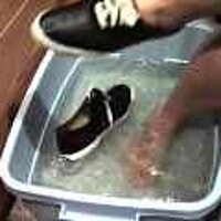  : Gallery : original : 2001 : 08 : T_wet263.jpg