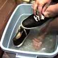  : Gallery : original : 2001 : 08 : T_wet264.jpg