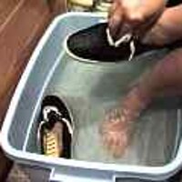  : Gallery : original : 2001 : 08 : T_wet268.jpg