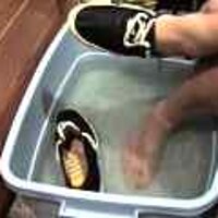  : Gallery : original : 2001 : 08 : T_wet271.jpg
