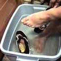  : Gallery : original : 2001 : 08 : T_wet272.jpg