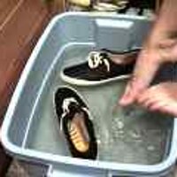 : Gallery : original : 2001 : 08 : T_wet278.jpg