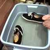  : Gallery : original : 2001 : 08 : T_wet284.jpg