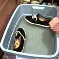  : Gallery : original : 2001 : 08 : T_wet286.jpg