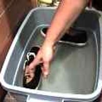  : Gallery : original : 2001 : 08 : T_wet288.jpg