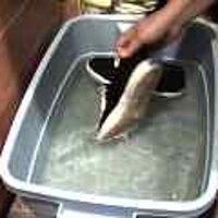  : Gallery : original : 2001 : 08 : T_wet289.jpg