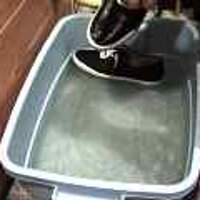  : Gallery : original : 2001 : 08 : T_wet291.jpg