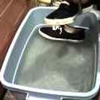  : Gallery : original : 2001 : 08 : T_wet292.jpg