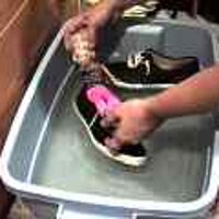  : Gallery : original : 2001 : 08 : T_wet306.jpg