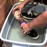  : Gallery : original : 2001 : 08 : T_wet308.jpg