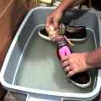  : Gallery : original : 2001 : 08 : T_wet311.jpg