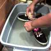 : Gallery : original : 2001 : 08 : T_wet312.jpg