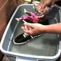  : Gallery : original : 2001 : 08 : T_wet316.jpg
