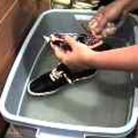  : Gallery : original : 2001 : 08 : T_wet317.jpg