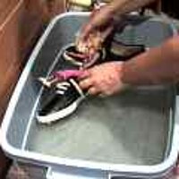 : Gallery : original : 2001 : 08 : T_wet322.jpg