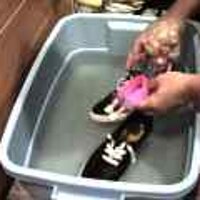 : Gallery : original : 2001 : 08 : T_wet329.jpg