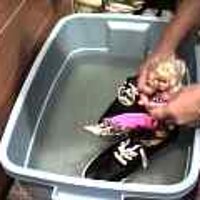  : Gallery : original : 2001 : 08 : T_wet331.jpg
