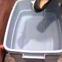  : Gallery : original : 2001 : 08 : T_wet423.jpg