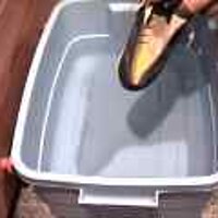  : Gallery : original : 2001 : 08 : T_wet424.jpg